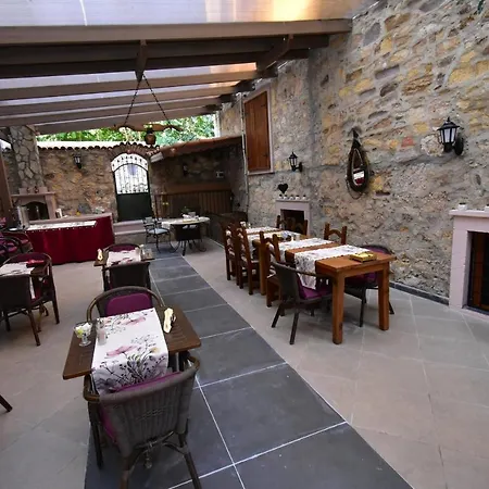Olivia 1845 Ayvalı