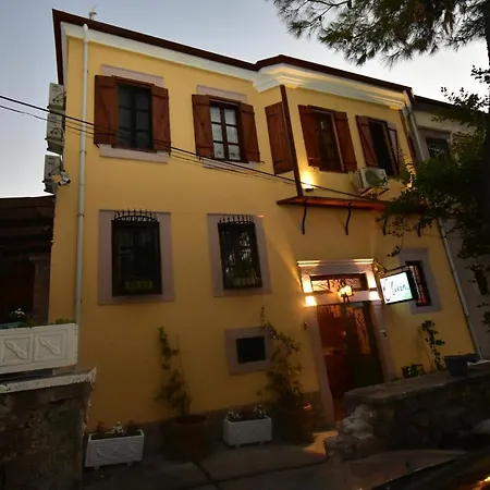 Olivia 1845 Ayvalı