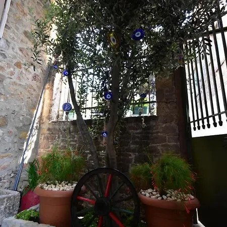 Olivia 1845 Hotel *