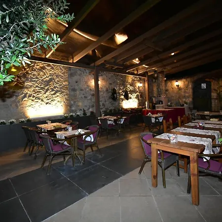 Olivia 1845 * Ayvalı